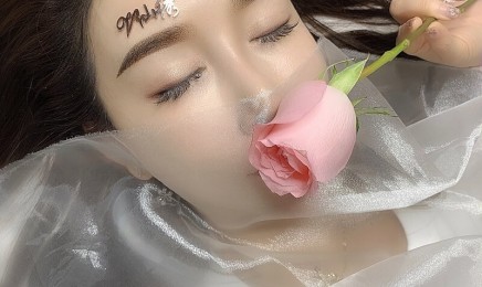 半永久仙韵雾眉公开课教学图片